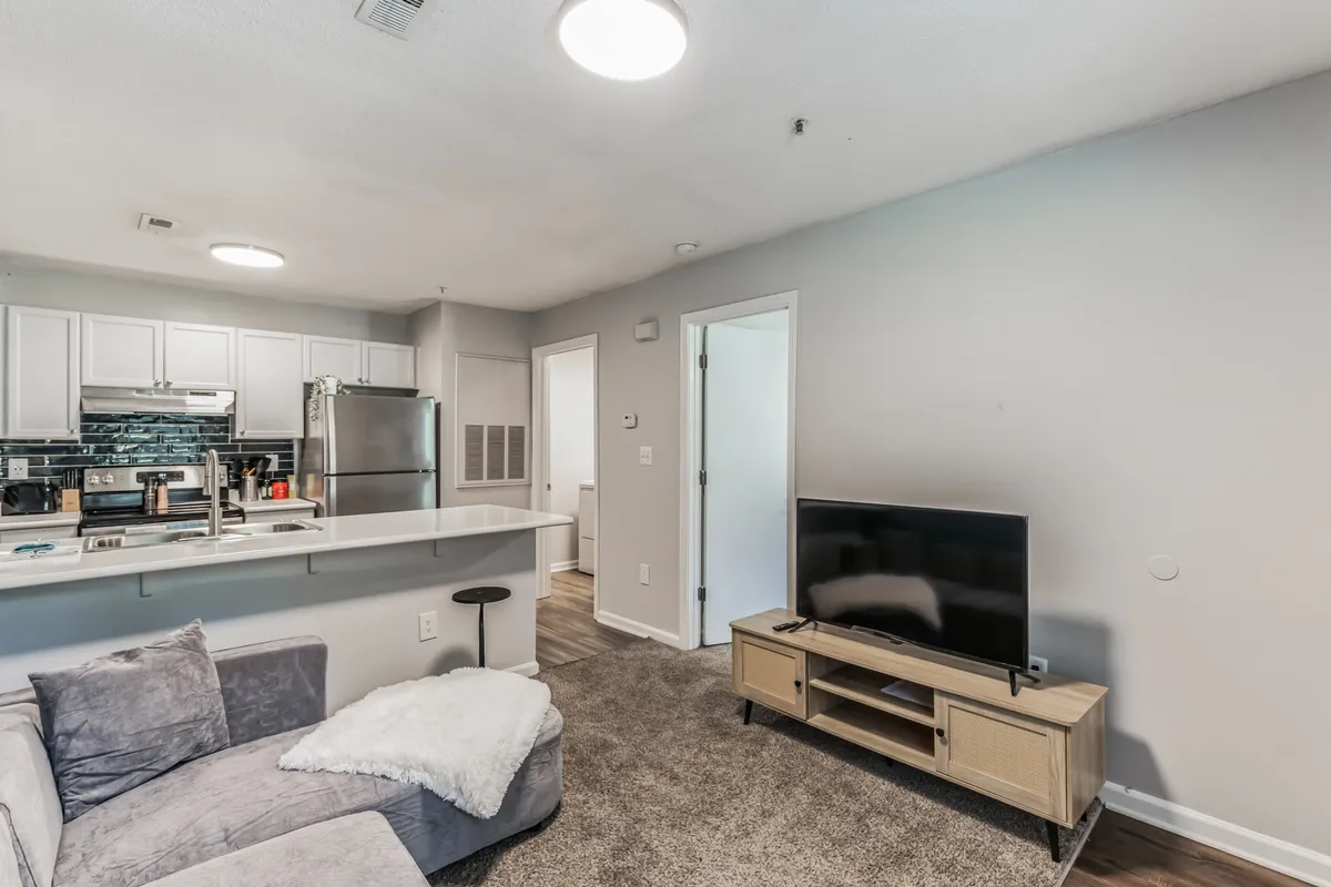 A welcoming open-concept space with a sofa facing the television, kitchen counter visible in the background, and a doorway suggesting easy flow between rooms. The mood is cozy, ideal for both movie nights and socializing or quiet relaxation.