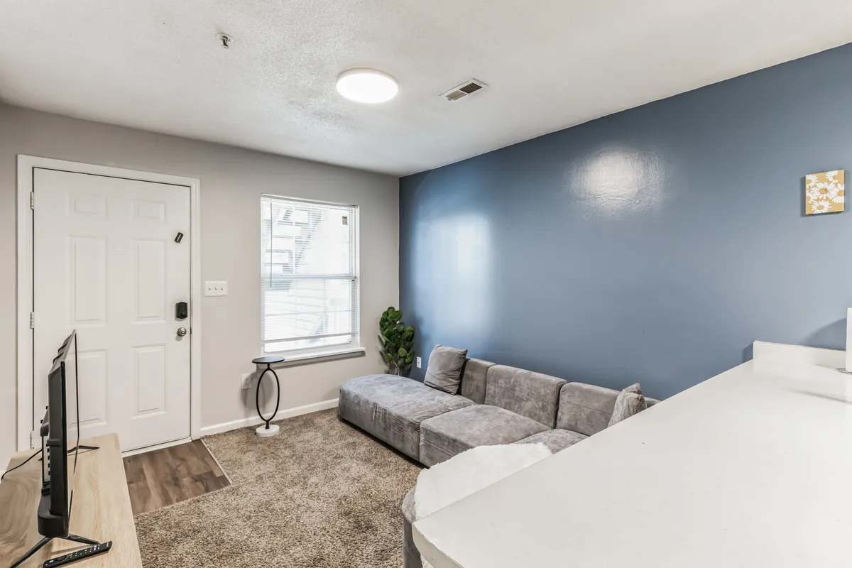 A cozy living area featuring a comfortable sofa, a television, a leafy plant, and a view of a nearby doorway, hinting at connection to the rest of the apartment or possibly to the outdoors. The ambiance is casual and inviting, suggesting a spot to unwind after adventures in town or nature.